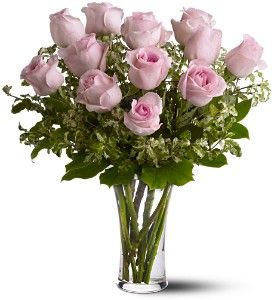 Twelve Pink Roses