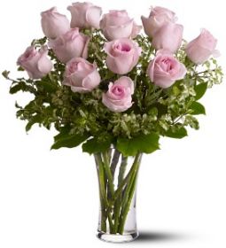 Twelve Pink Roses