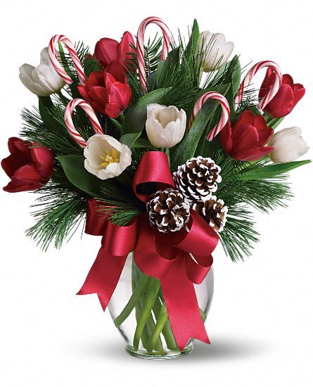 Christmas Tulips