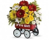 Little Red Wagon