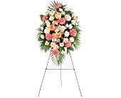 Special Tribute  