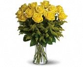 Twelve Yellow Roses 