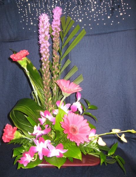 Tropical Elegance