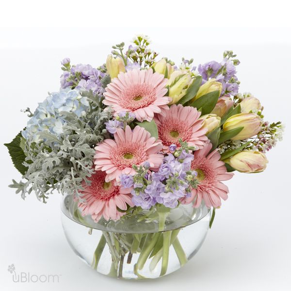 Gretchen's Garden