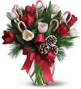 Candycane Wish