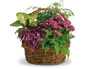 Indoor Planter Basket