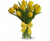 Yellow Tulips